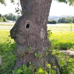 Meet your Posher, Toby